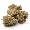 Close-up of RS11 x OG Banana buds showing dense structure and frosted trichomes