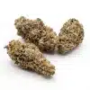 RS11 x OG Banana bud shown by hand for size and texture reference