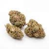 Blue Dream cannabis bud shown by hand for size, texture and structure reference