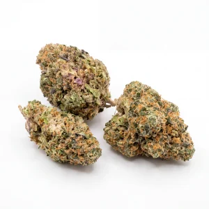 Blue Dream cannabis bud shown by hand for size, texture and structure reference