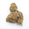 Close-up of Zillion buds showing dense structure, trichomes and orange pistils