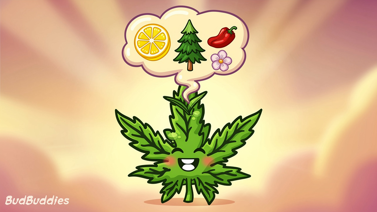 Cartoon terpene aroma cloud above cannabis bud