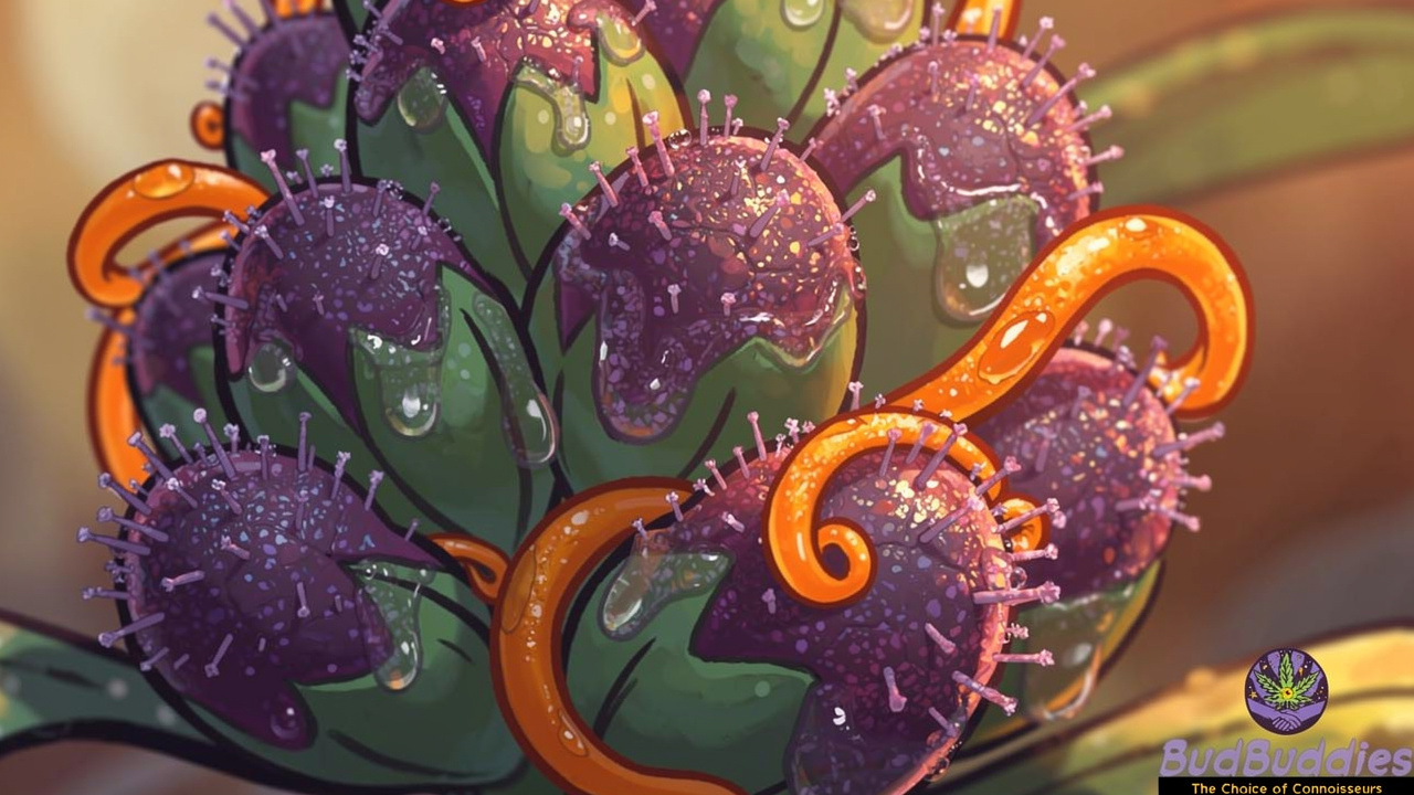 Cartoon close-up of frosty purple cannabis bud