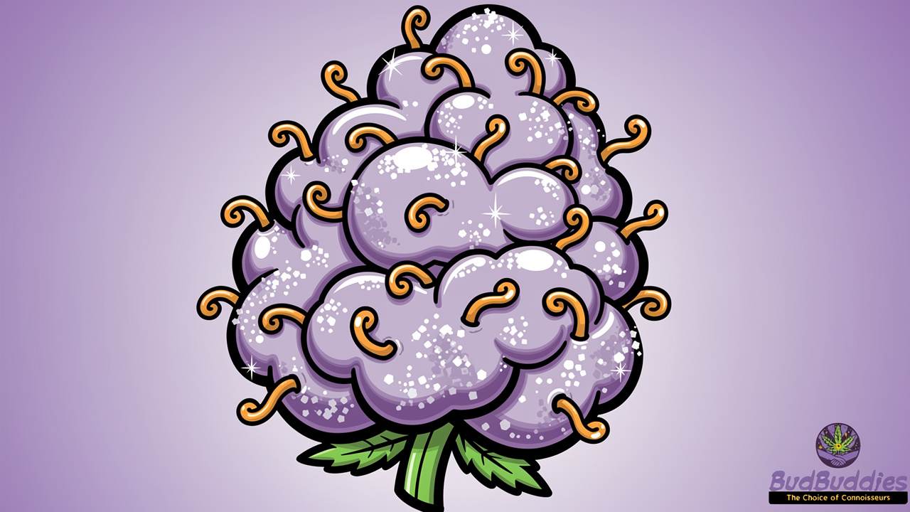 Cartoon illustration of frosty purple Slurricane cannabis bud