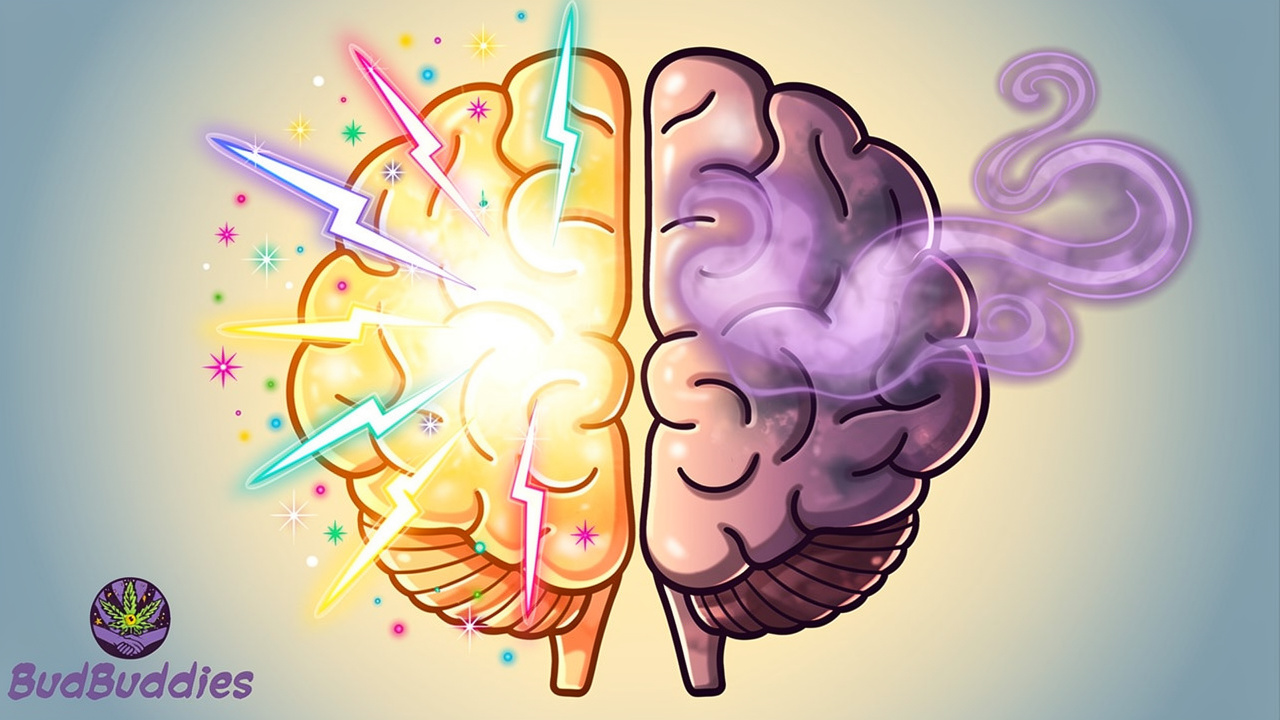 Cartoon brain showing cannabis effects on memory and focus