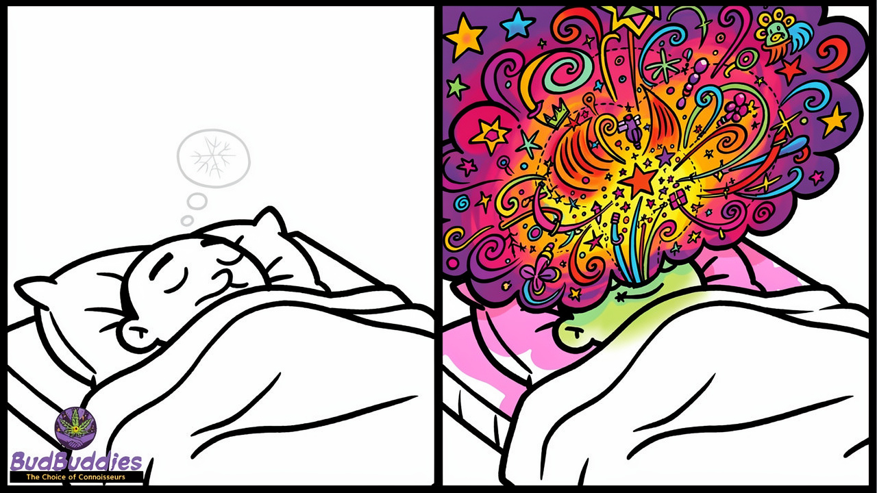 Cartoon comparing suppressed and rebound REM dreaming