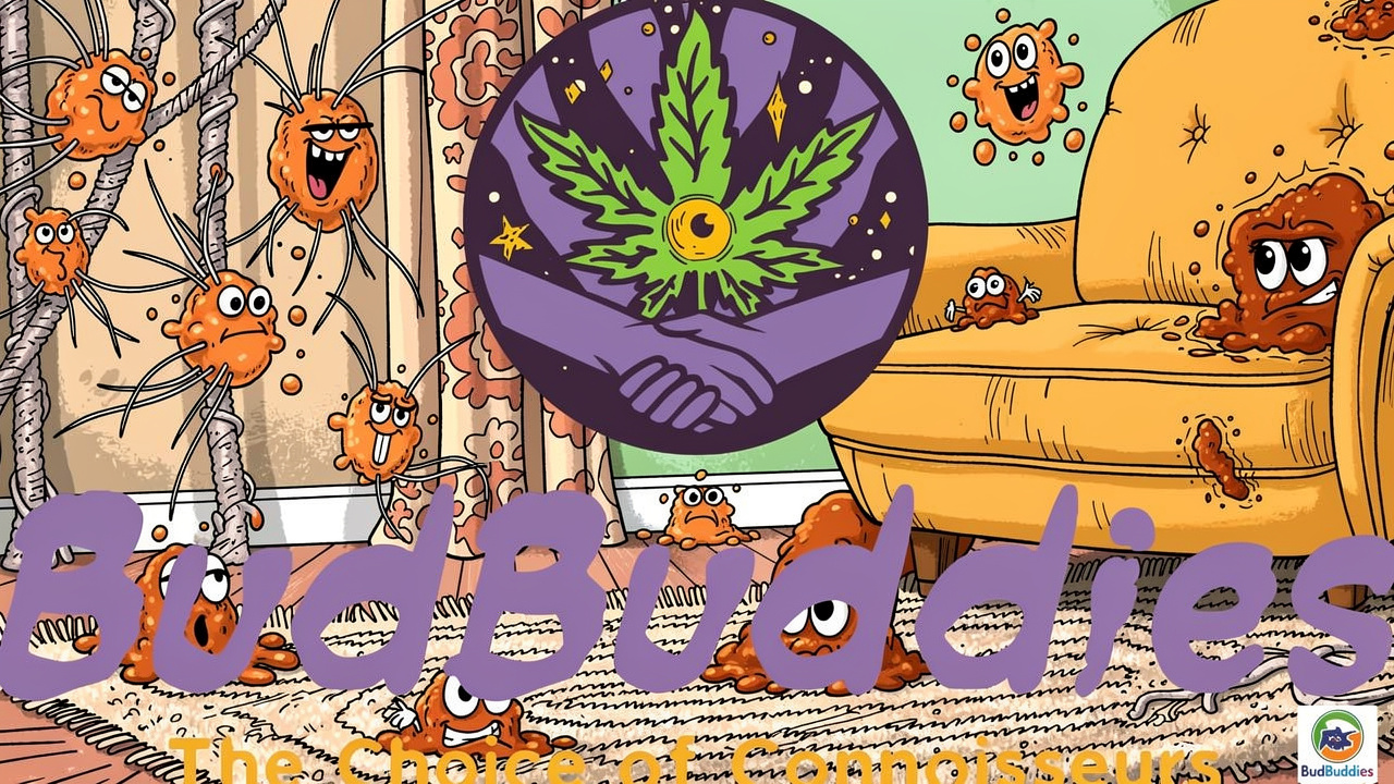 Cartoon odour molecules clinging to room surfaces
