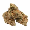 Honey Drip whole buds showing natural variation between larger and smaller flowers