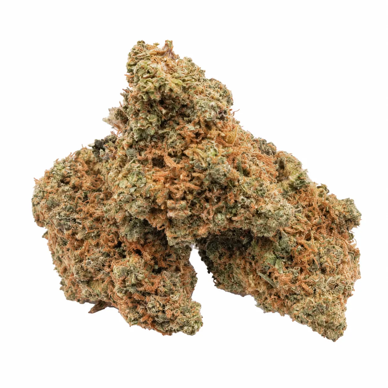 Honey Drip whole buds showing natural variation between larger and smaller flowers