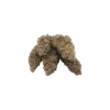 Ice Cream Cake cannabis buds displayed for natural size and structure reference