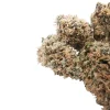 Detailed Ice Cream Cake whole flower close-up from BudBuddies.cc