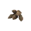 Premium Ice Cream Cake flower showing natural whole-bud texture and trichome coverage
